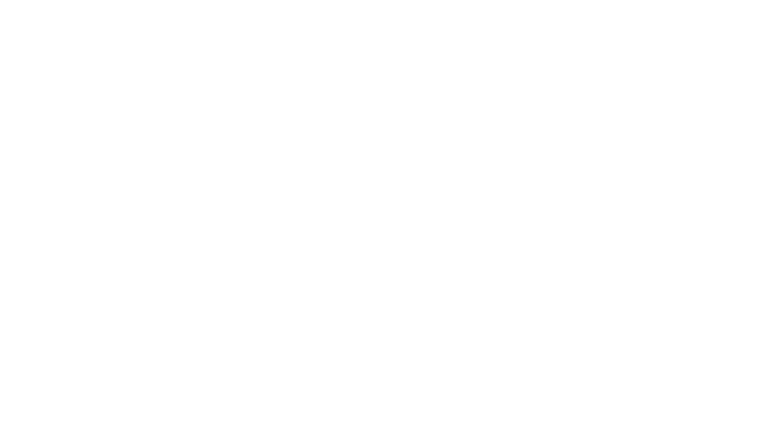 ZiGi